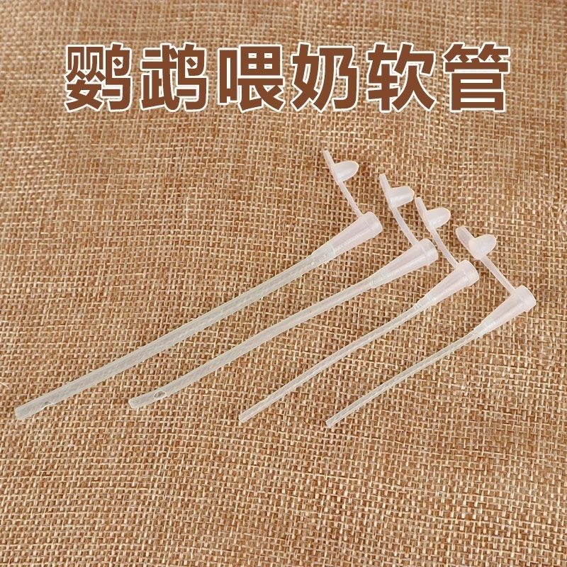 鹦鹉喂奶喂药喂食硅胶软管