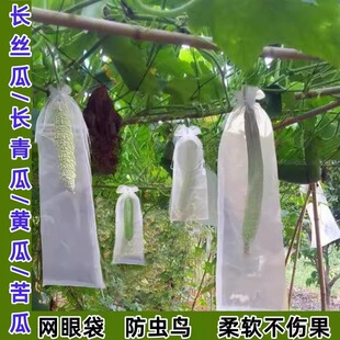 无纺布苦瓜专用套袋丝瓜黄瓜青瓜羊角蜜防虫袋保护袋防蜂果蝇套袋