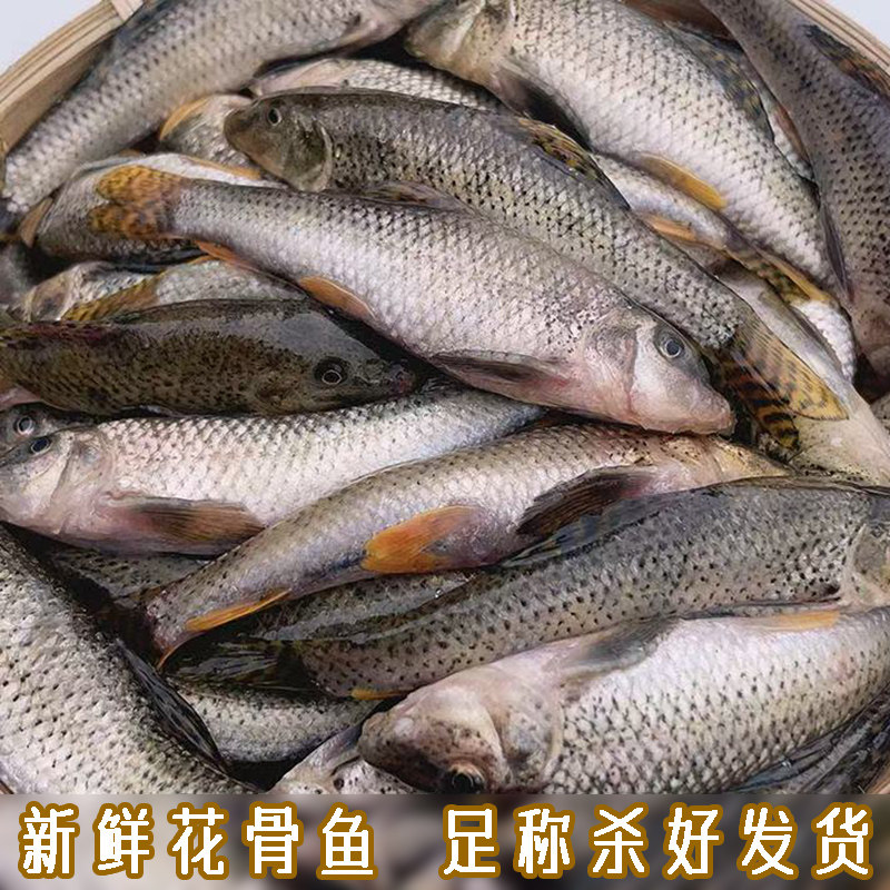 淡水鱼新鲜青竹鱼鲜活足称杀好发货花骨鱼花菇鱼激浪鱼马鲫鸡骨鱼