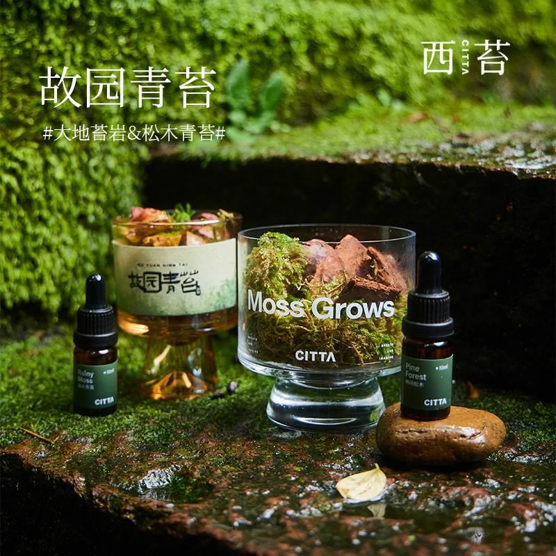 CITTA西苔故园青苔系列无火香薰礼盒扩香石居家摆件香氛节日礼物