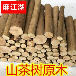 饰木头山茶树木桩摆件 实木带皮圆木片壁炉装 饰木柴树桩木材原木装