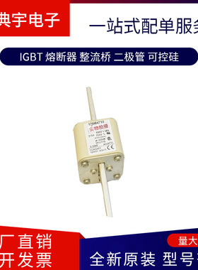 熔断器170M4761 4762 4763 4764 4765 4766 4767 4768型号齐全