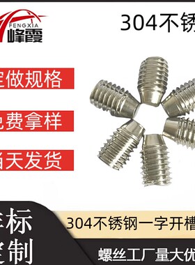 304不锈钢GB72.10*16现货一字尖端开槽紧定螺丝GB71一字槽大头