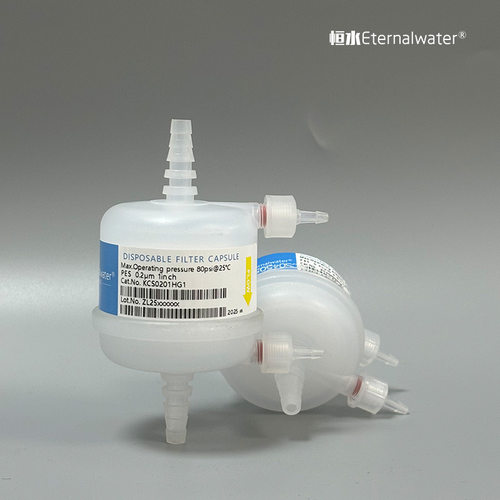 PES除菌级囊式过滤器0.5/1英寸