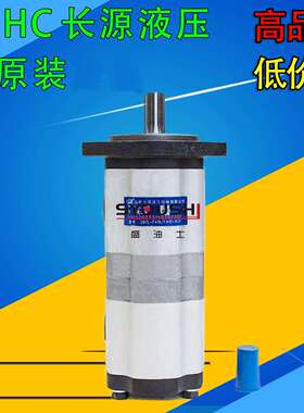 合肥长源齿轮泵CBTL-F416/F416-AFP/AFPL/AFH/AFHL/AFΦ/AFΦL