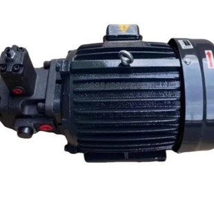 原装WANERF油泵电机 液压泵 电动机马达 WANERF变量叶片泵 柱塞泵