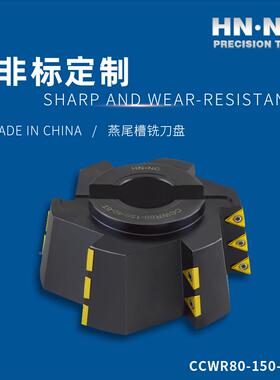 海纳CCWR80-100/125/150机床燕尾槽80度角度数控鸠尾槽玉米铣刀盘