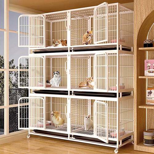 猫笼子双只猫双人间宠物店专用带