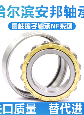 哈尔滨圆柱滚子轴承NF 2220 2222 2224 2226 2228 2230 EM