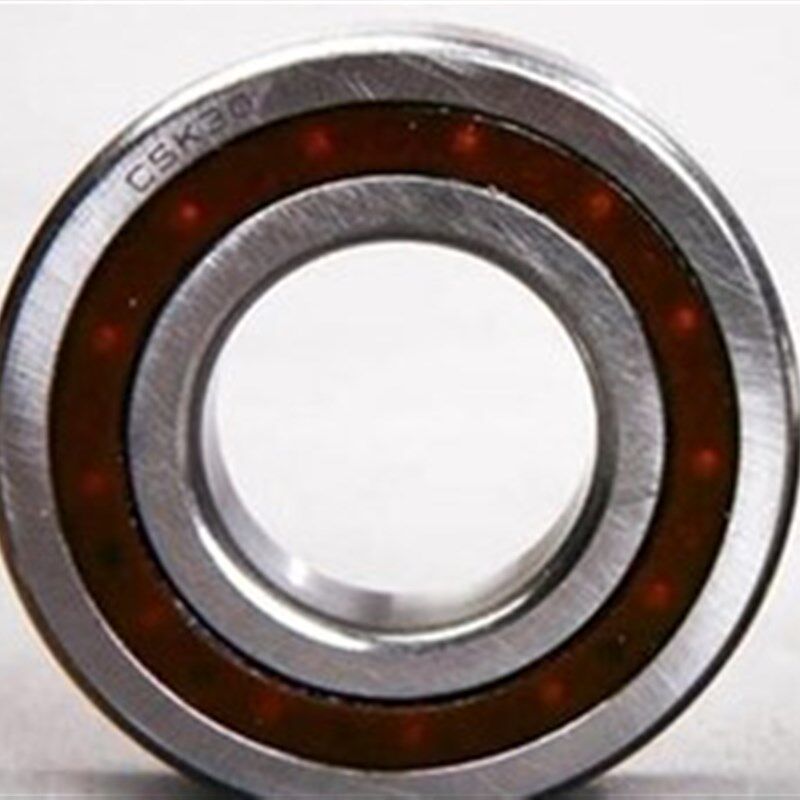 单向轴承CSK8 10 12  15  17  20  25  30 35  40 PP内外带槽