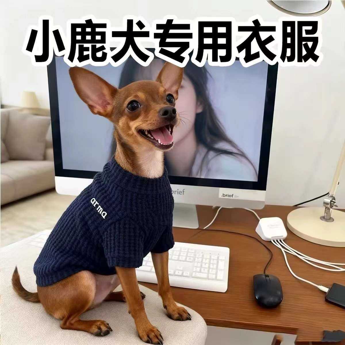 小鹿犬衣服幼犬超小体狗狗迷你