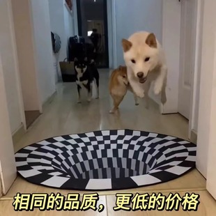 养狗神器眩晕地毯3D视觉陷阱漩涡恶搞圆形水晶绒吸水简约搞怪地毯