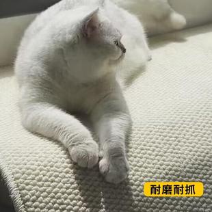 日本飘窗垫窗台垫四季 放猫抓垫 通用阳台垫子日式 榻榻米垫定做新款