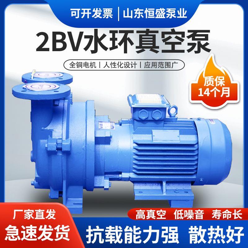 2bv水环式真空泵防爆一体真空泵工业用水循环大功率叶轮水循环
