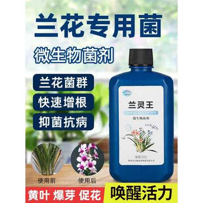 兰灵王兰花专用肥营养液肥料蝴蝶兰陵王兰科多箭促花杀菌药活化剂