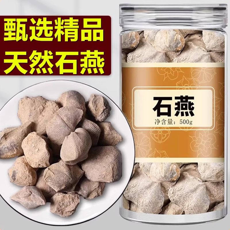 石燕中药材官方正品旗舰店燕石子燕子石水飞石化石有磁石 灶心土