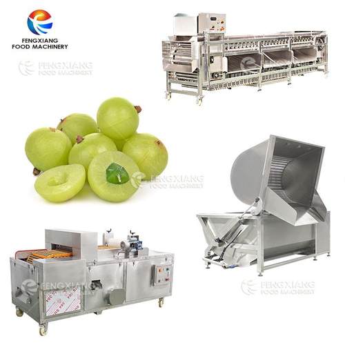 商用高产量全自动油柑去核机水果去核分瓣机清洗机