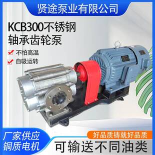 不锈钢轴承齿轮泵304不锈钢油泵KCB300卧式生产自吸齿轮油泵现货