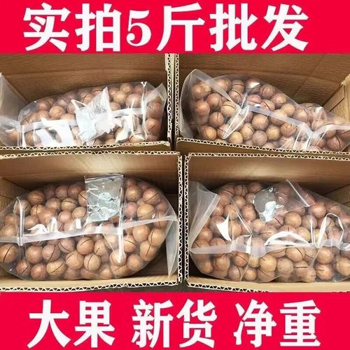 新货奶香味夏威夷果非原味饱满