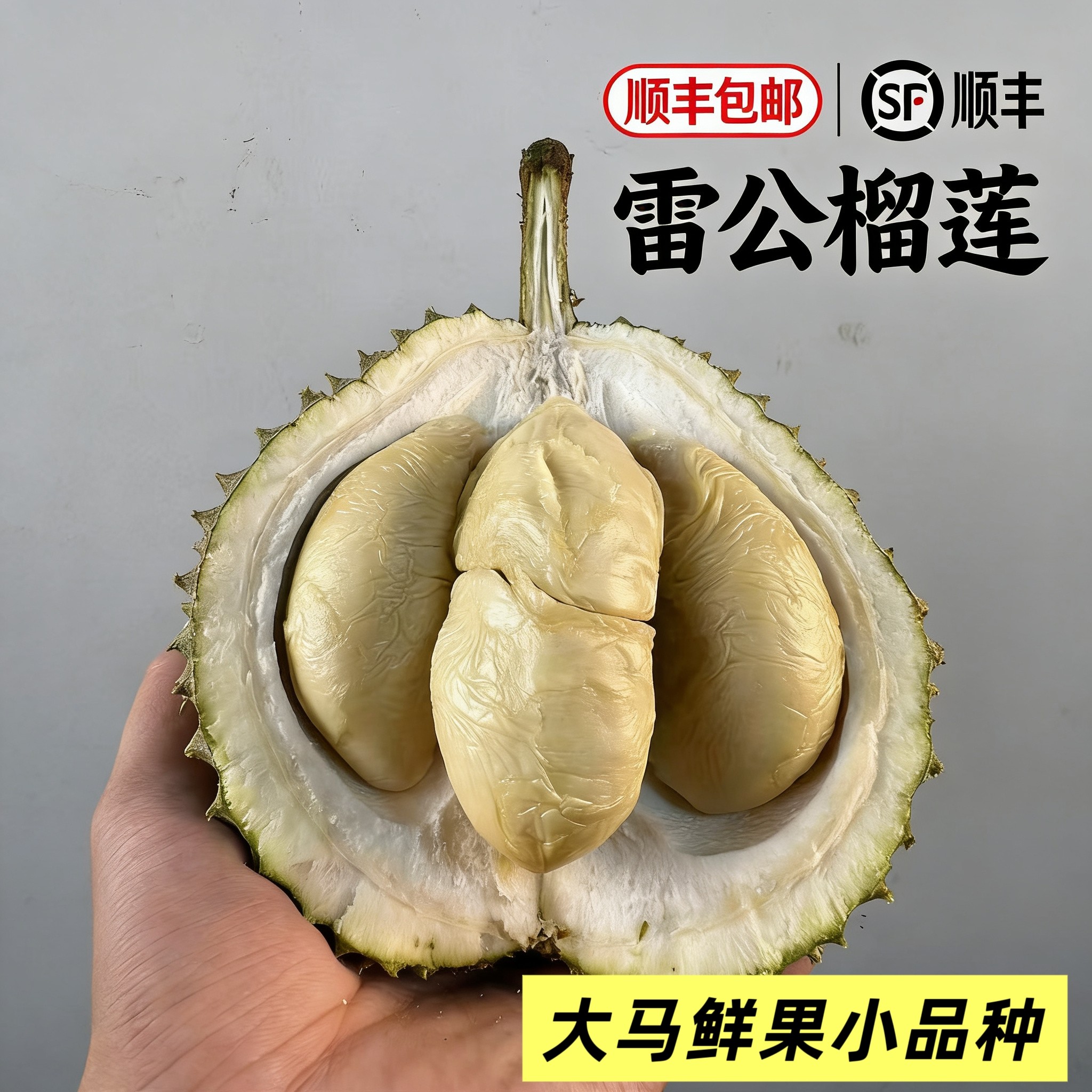 雷公榴莲D136 马来西亚小品榴莲