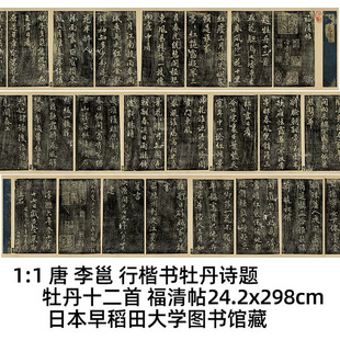 1:1 唐 李邕 牡丹诗题牡丹十二首 福清帖24.2x298cm 早稻田大学藏