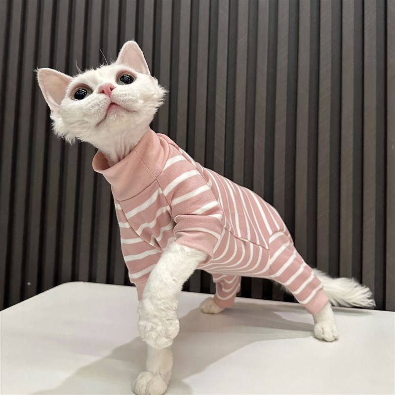任发财韩版条纹四脚衣无毛猫衣A服德文衣服斯芬克斯猫夏季纯棉透
