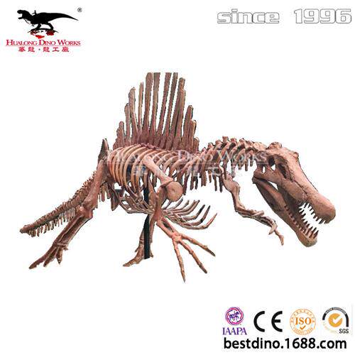 玻璃钢仿真棘龙化石骨架模型自贡源头厂家来图制作景区博物馆