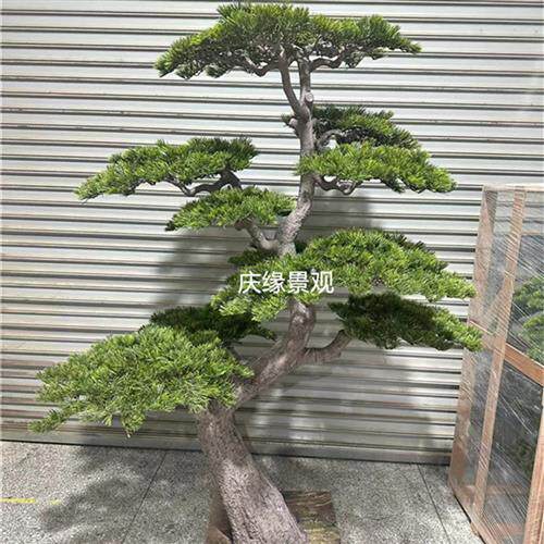 仿真松树假树落地绿植园艺室内外造景公园工程景池装修软装办公室