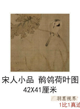 宋人小品鹡鸰荷叶图古代书画花