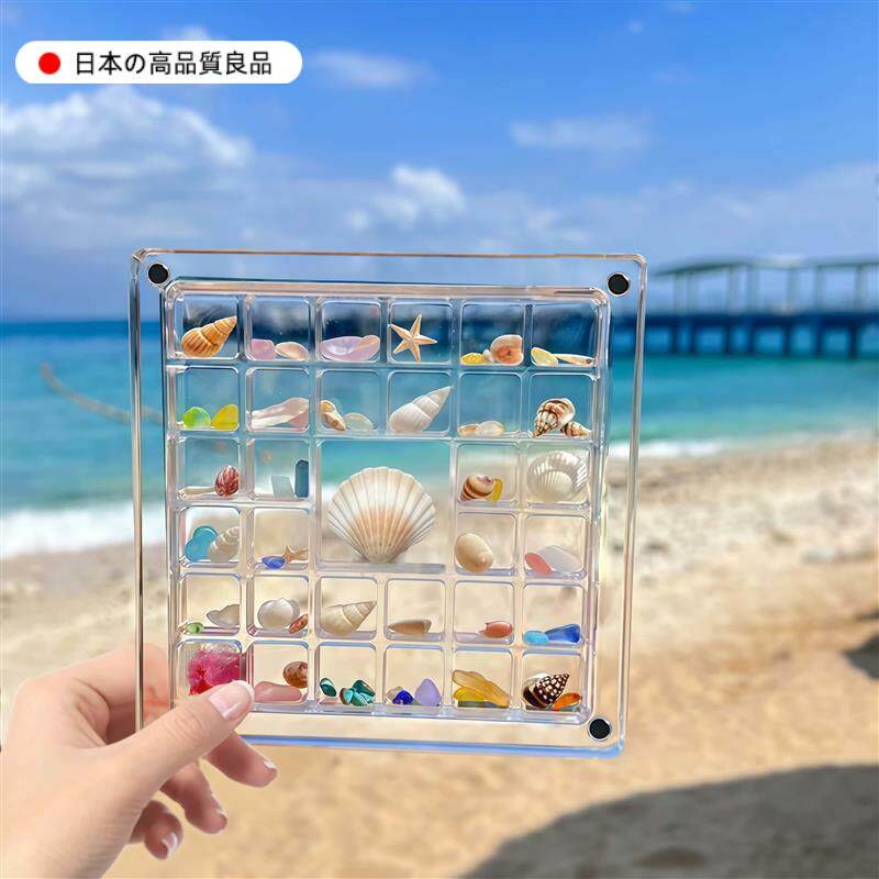 装贝壳收纳盒海边贝壳收纳盒透明盒子亚克力贝壳收集盒收纳展示盒