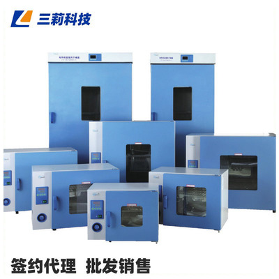 上海一恒鼓风干燥箱 DHG-9620A电热恒温鼓风干燥箱 620升工业烘箱