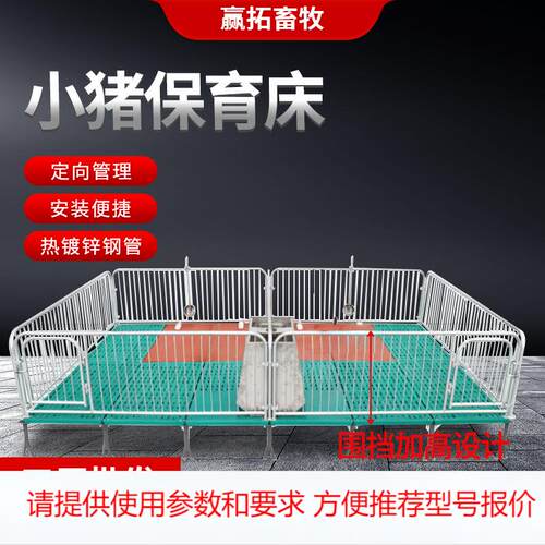 定制加工小猪保育床 热镀锌管挡板母猪产床 全复合加厚仔猪保育床