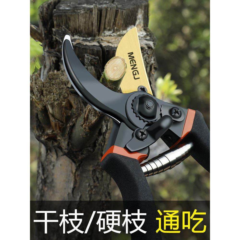 德国进口修枝剪专用剪刀园艺果树剪刀园林花卉省力剪剪摘水果神器