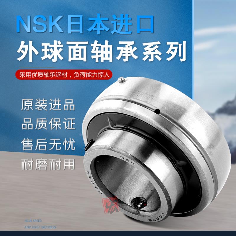 NSK日本进口轴承 SB 201 202 203 204 205 206 207 208  209  210