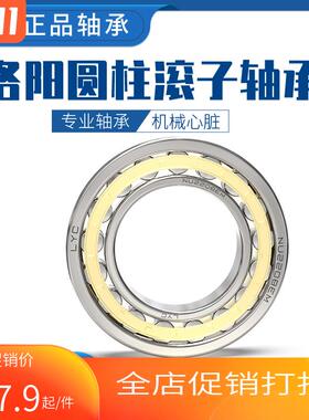 LYC圆柱轴承NJ NU N  314 315 316 317 318 319 320 322  324 EM