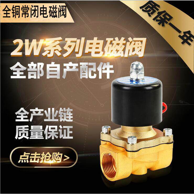 全铜2W常闭电磁水阀AC220v电动阀门 电磁阀DC24V DN15 20 25 40 5