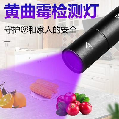 可充电伍德氏灯夜视尿渍检测猫藓灯黄曲霉紫光荧光验钞手电筒