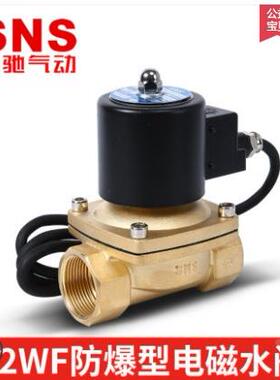 SNS神驰 二口常闭式防爆电磁阀 2WF025-08 040-10 160-15 200-20