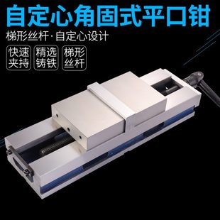定中心平口钳机用虎钳 赢领 制定心 自定心专用精密角固式 打中心