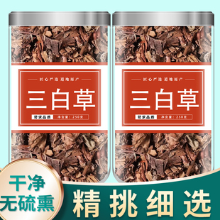 三白草正品中药材500g克野生白花莲水木通塘边藕白花三白草白舌骨