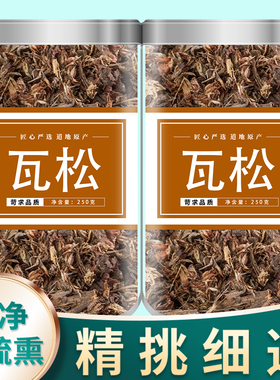 瓦松中药500g官方正品瓦松花天王塔向天草流苏塔草瓦塔阿松中药材