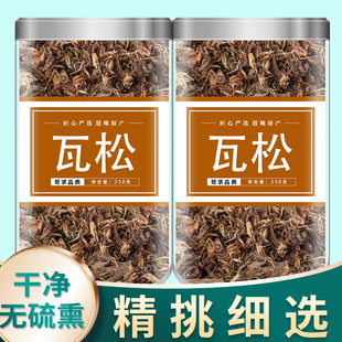 瓦松中药500g官方正品瓦松花天王塔向天草流苏塔草瓦塔阿松中药材