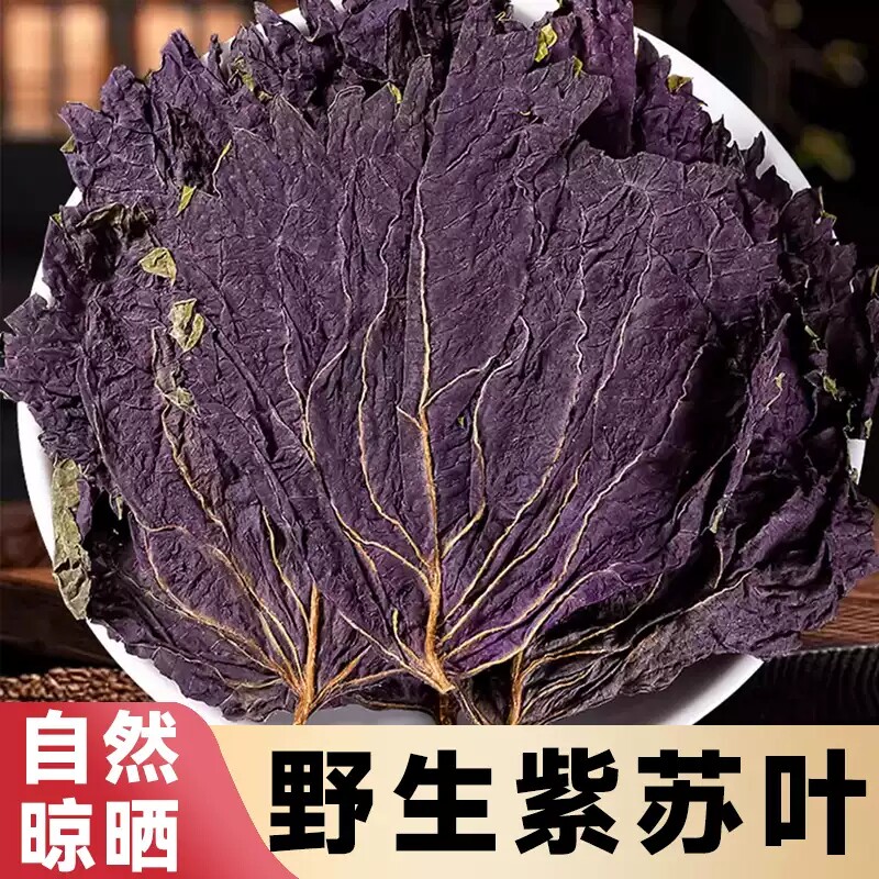 新鲜特级紫苏叶干500g食用新鲜泡水喝紫苏叶正品中药材官方旗舰店