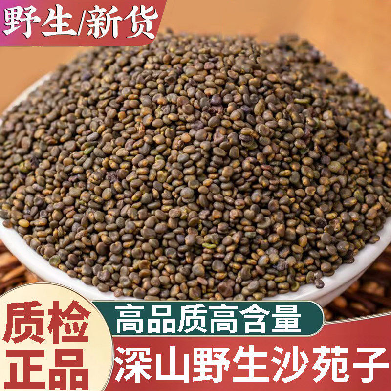 正品野生沙苑子新货中药材500g正宗沙菀子茶男性泡茶潼蒺藜沙宛子