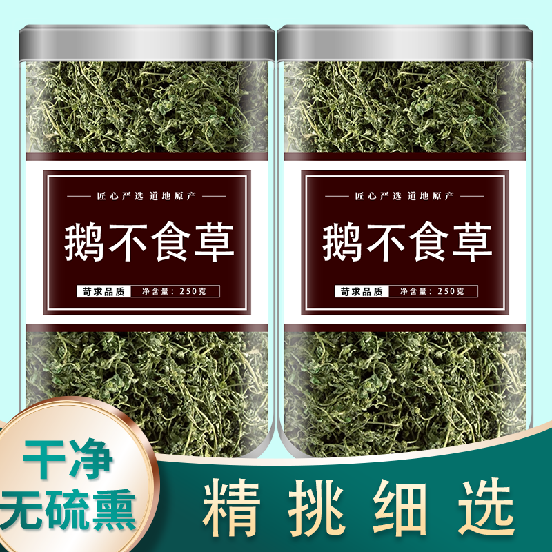 鹅不食草中药材正品官方旗舰店新鲜野生鹅不吃草粉鹅不食草泡水喝