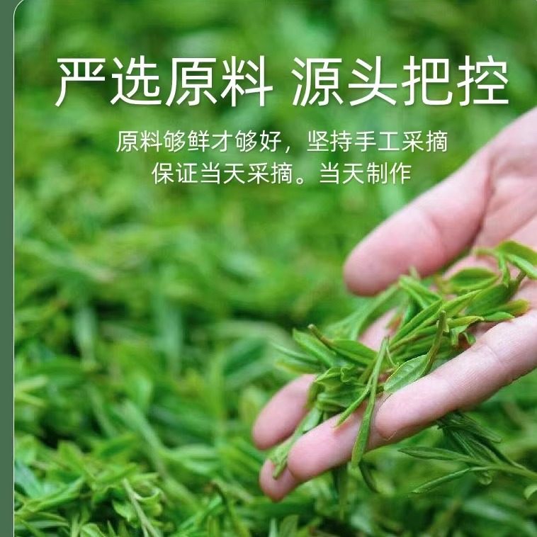 绿茶2025年新茶叶恩施富硒春毛尖玉露日照足官方旗舰店正品自己喝