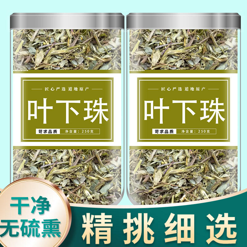 叶下珠中药材500g克野生叶下珠草珍珠草龙珠草鱼鳞草夜合草中草药