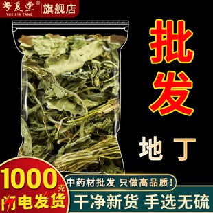 安国中药材批 发地丁草1000g野生中药材天然紫地丁子柴花地丁