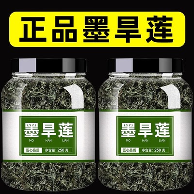 墨旱莲正品中药材旱莲草官方旗舰店新鲜非野生搭女贞子菟丝子泡水