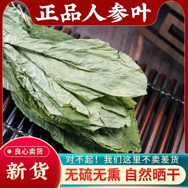 人参叶中药材500g人参茎叶正品散装特级野生药用参叶山参叶移山参